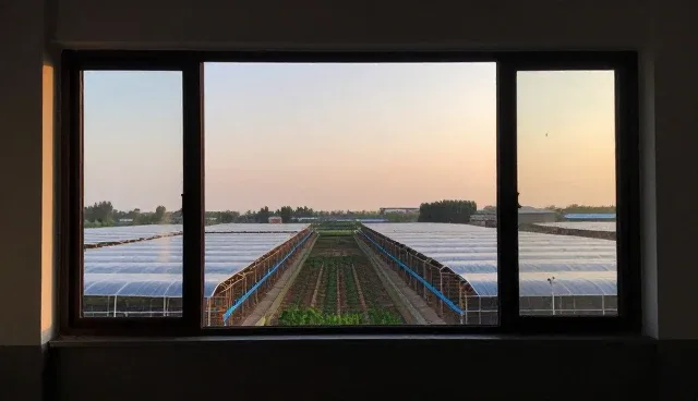 提升项目施工管理效率的施工安全技术咨询实践